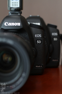 Canon 5D Mark2_1.jpg